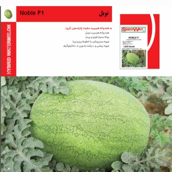 بذر هندوانه نوبل