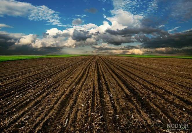 کلیدهای عمومی کاشت و داشت
