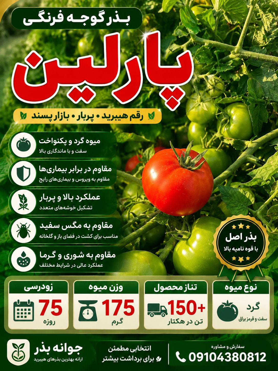بذر گوجه گرد سفت پارلین
